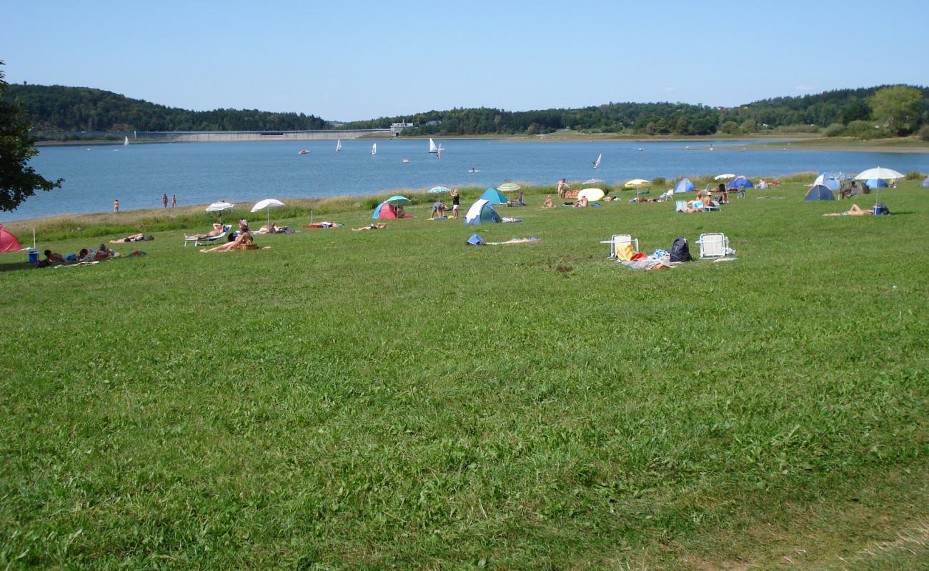 Pohl FKK Strand'in fotoğrafı çim yüzey ile