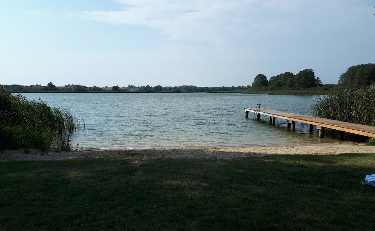 Badestelle Blankensee'in fotoğrafı çim yüzey ile