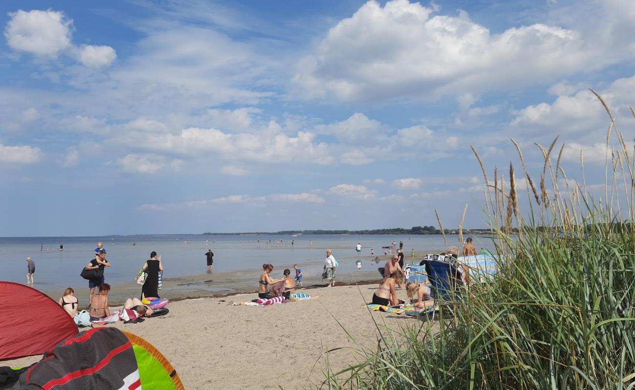 Wohlenberger Wiek Beach'in fotoğrafı #20 yüzey ile