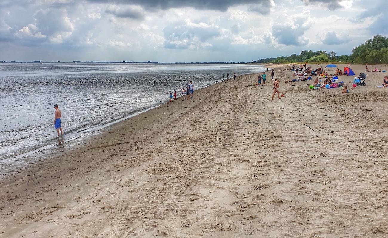 Krautsand strand'in fotoğrafı parlak kum yüzey ile