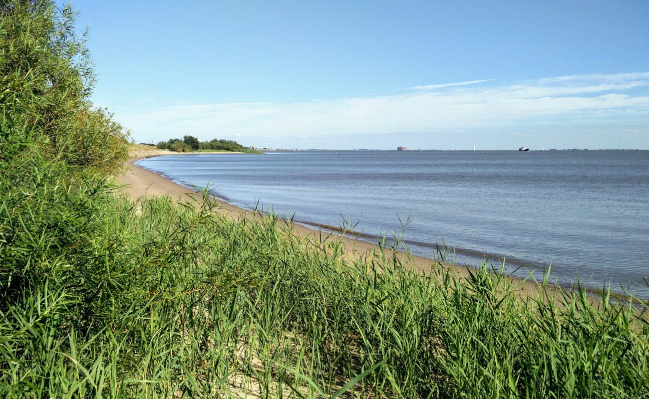Brokdorf strand'in fotoğrafı açık bej kum yüzey ile