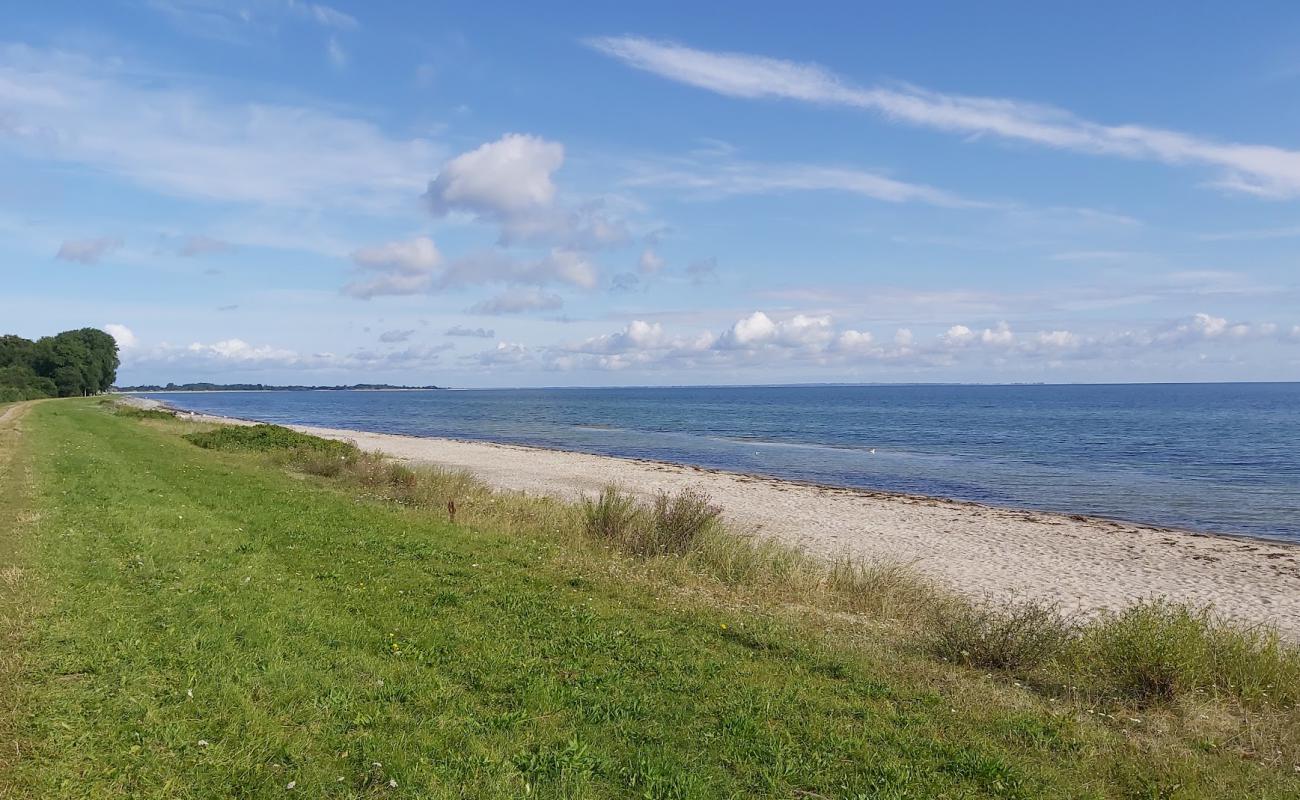 Maasholm strand'in fotoğrafı parlak kum yüzey ile