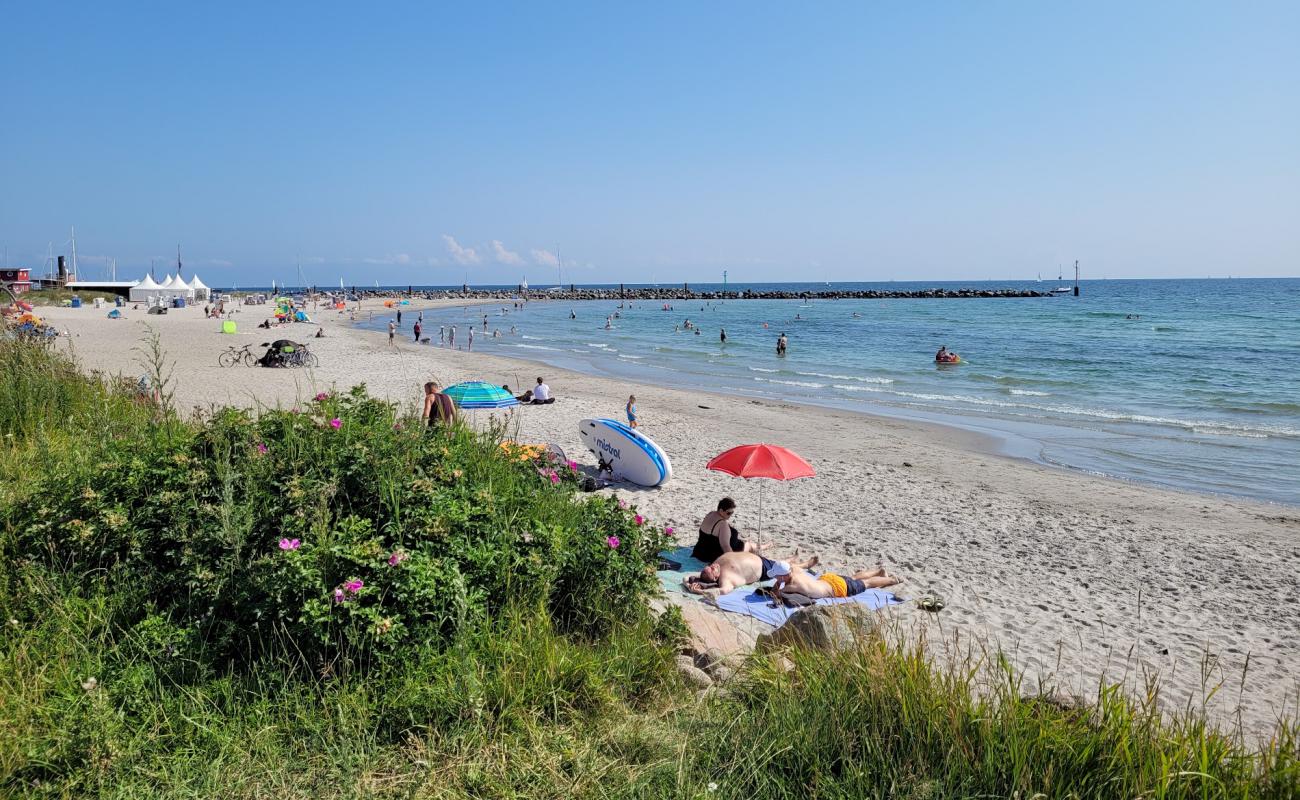 Damp strand'in fotoğrafı parlak kum yüzey ile