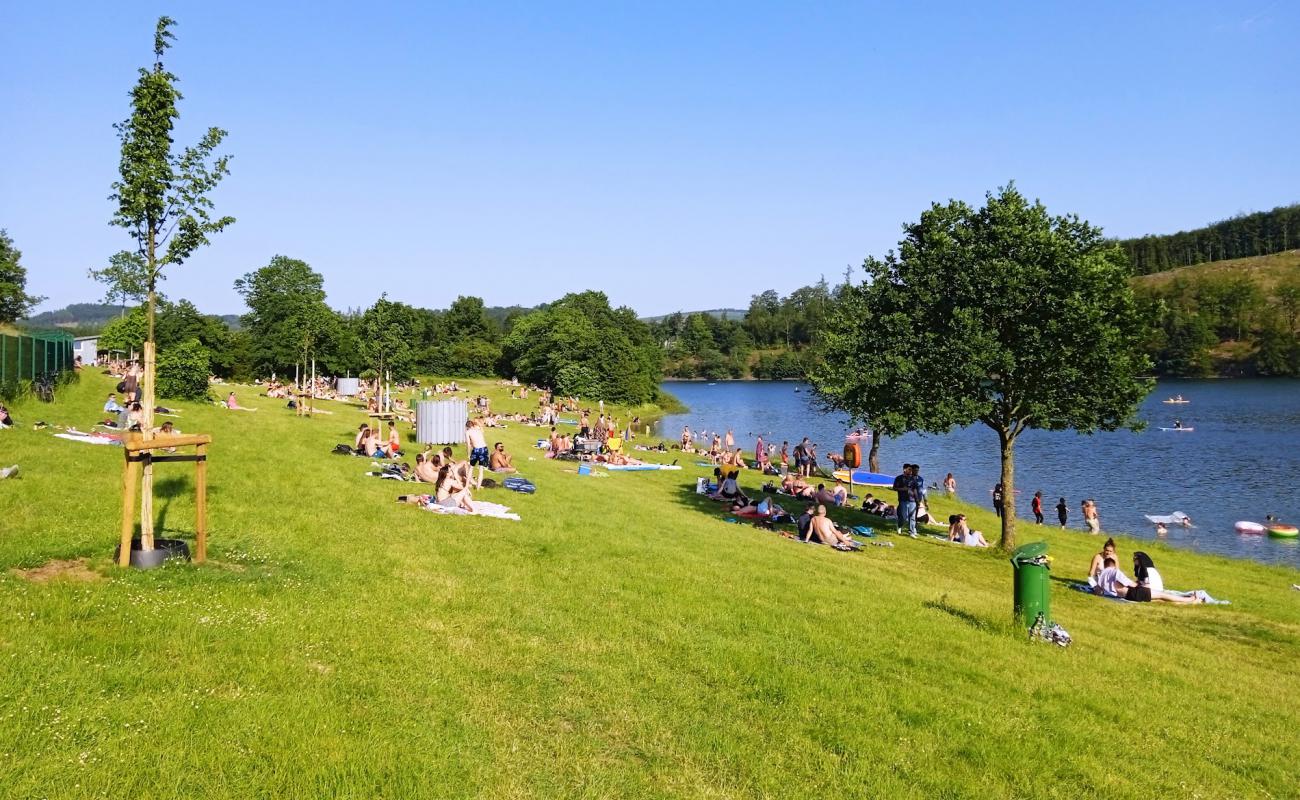 Liegewiese Beach'in fotoğrafı çim yüzey ile