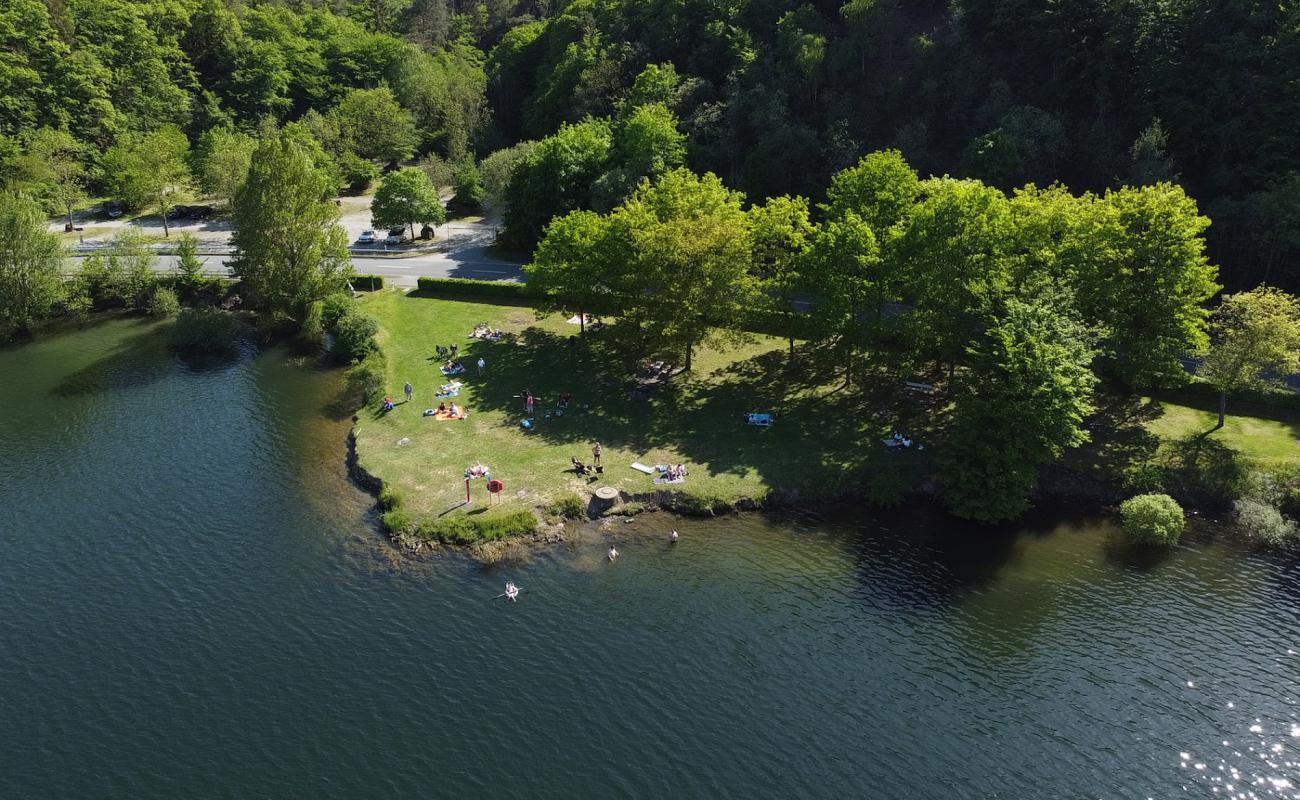 Liegewiese Melbach'in fotoğrafı #133 yüzey ile