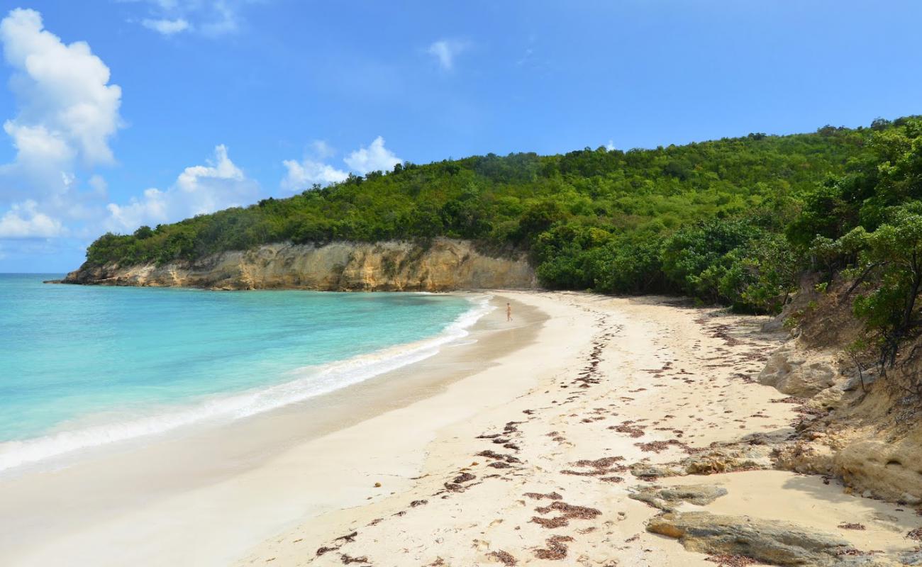 Bush Bay beach'in fotoğrafı i̇nce bej kum yüzey ile
