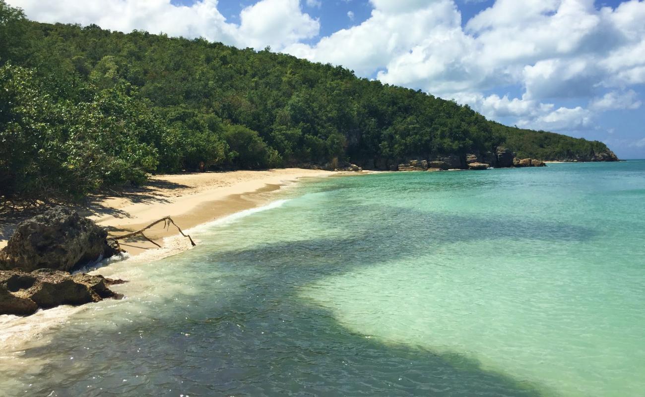 Blue Waters beach'in fotoğrafı i̇nce bej kum yüzey ile