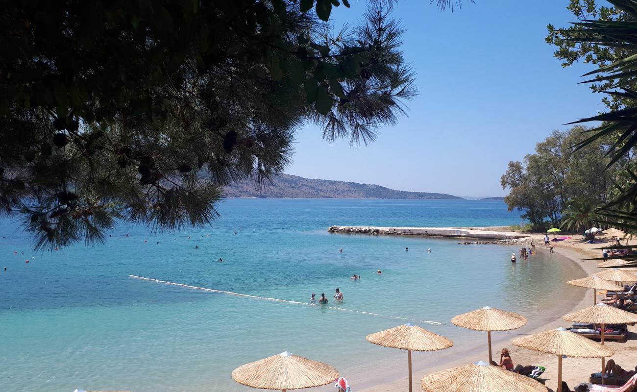 Plataria beach'in fotoğrafı hafif ince çakıl taş yüzey ile