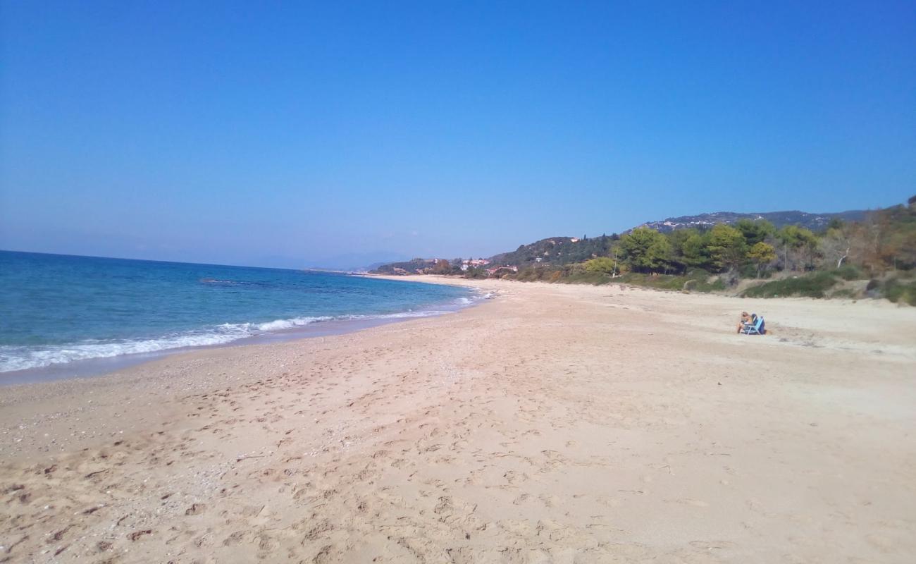 Lygia beach'in fotoğrafı parlak kum yüzey ile