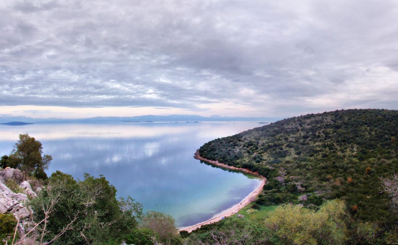Pogonitsa beach'in fotoğrafı açık bej kum yüzey ile