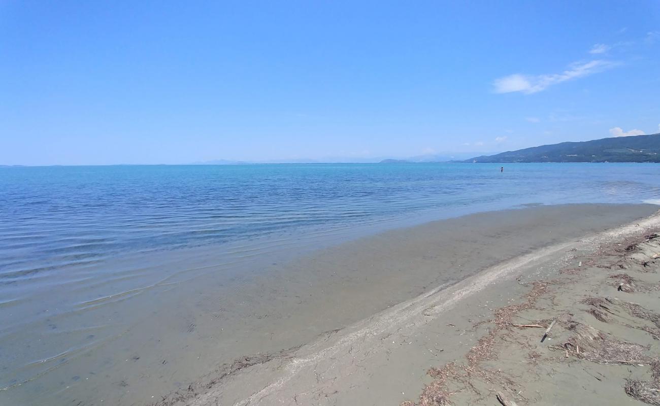 Spring beach'in fotoğrafı kahverengi kum yüzey ile