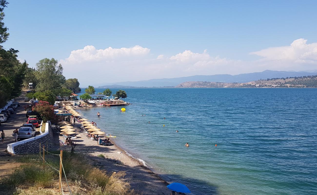 Amphilochia west'in fotoğrafı küçük gri çakıllar yüzey ile