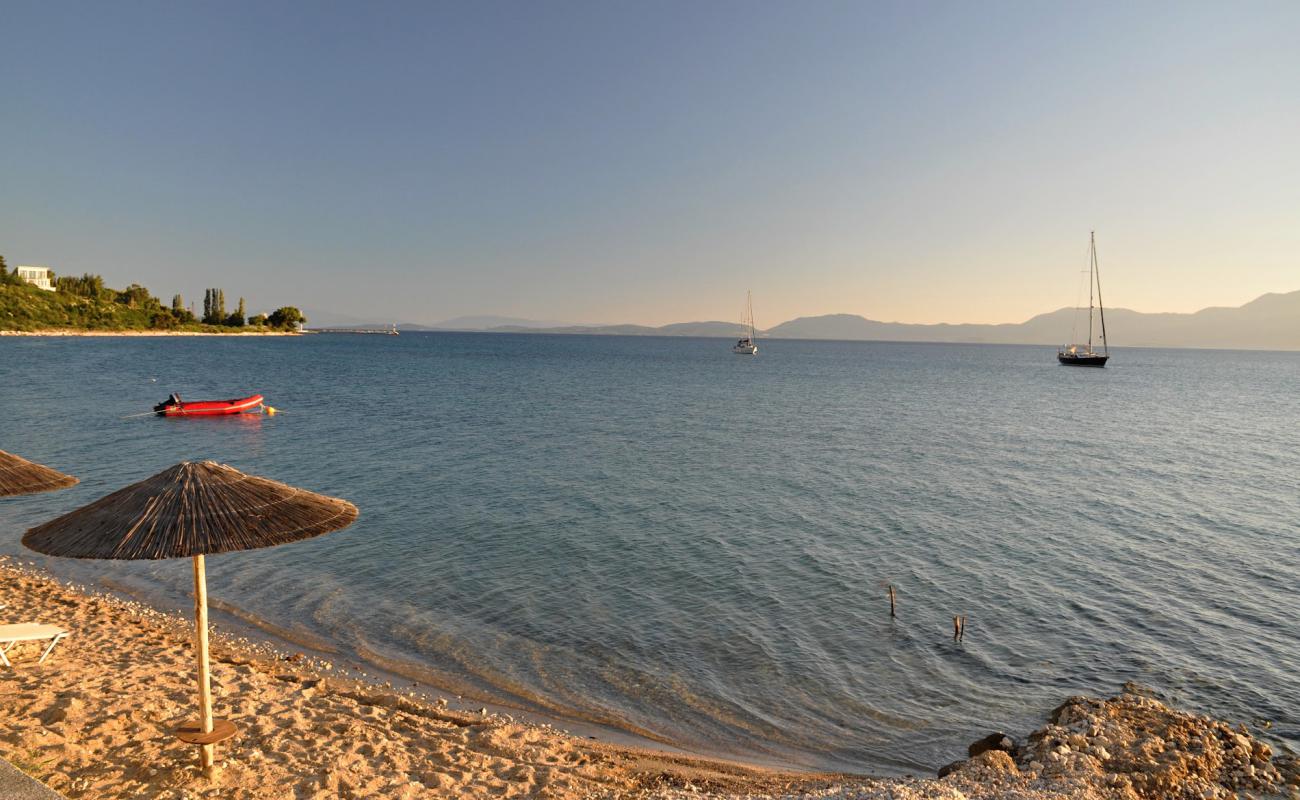 Pine Beach'in fotoğrafı siyah kum ve çakıllar yüzey ile