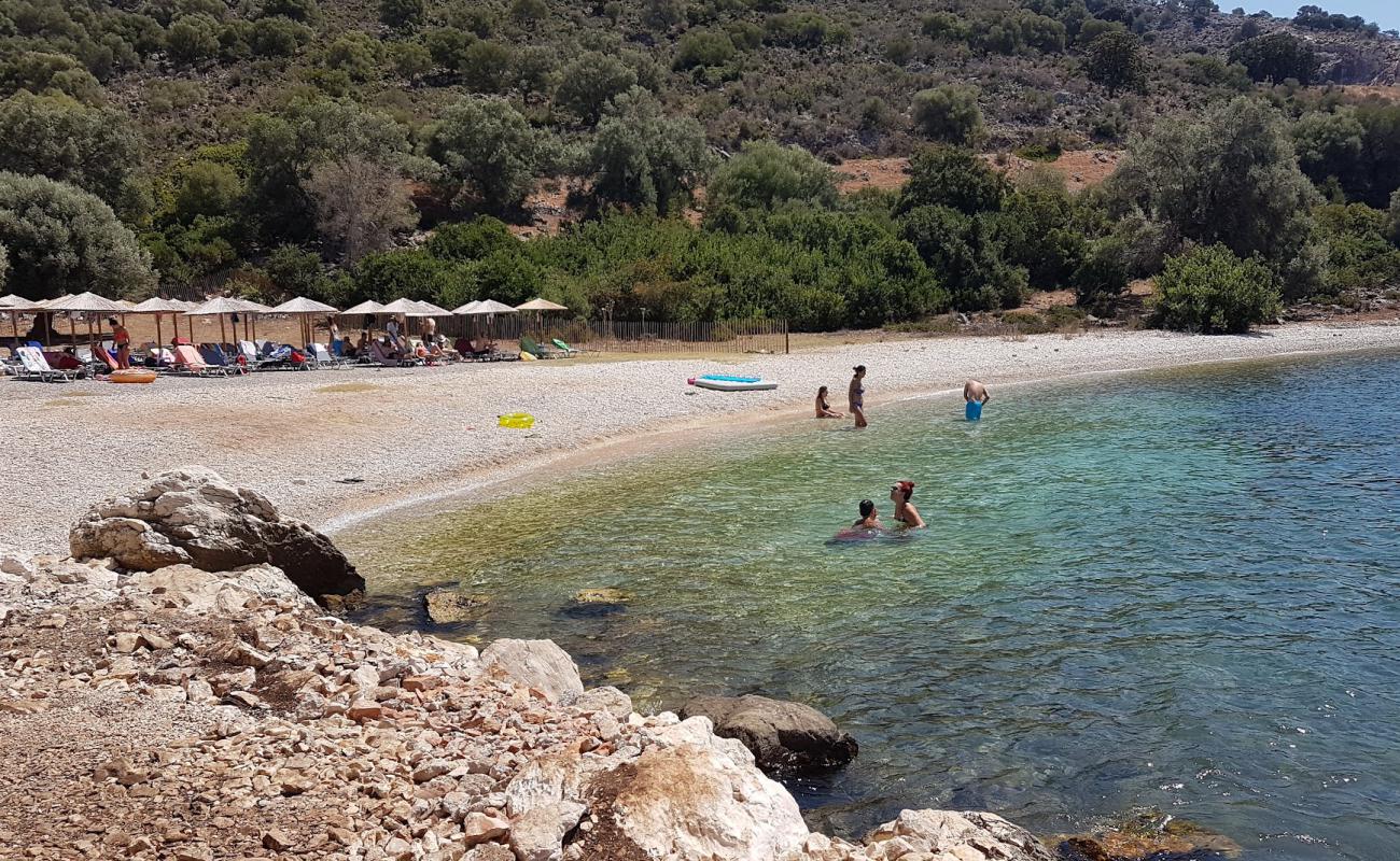 Vela Beach'in fotoğrafı hafif çakıl yüzey ile