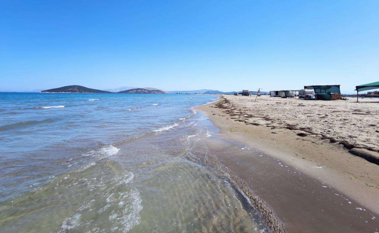 Dion beach'in fotoğrafı kahverengi kum yüzey ile