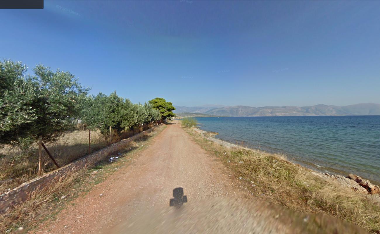 Ai-Lias Beach'in fotoğrafı açık yeşil su yüzey ile