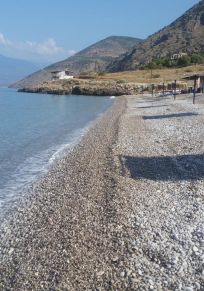 Genemakia