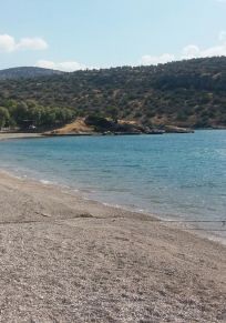 Potamoi