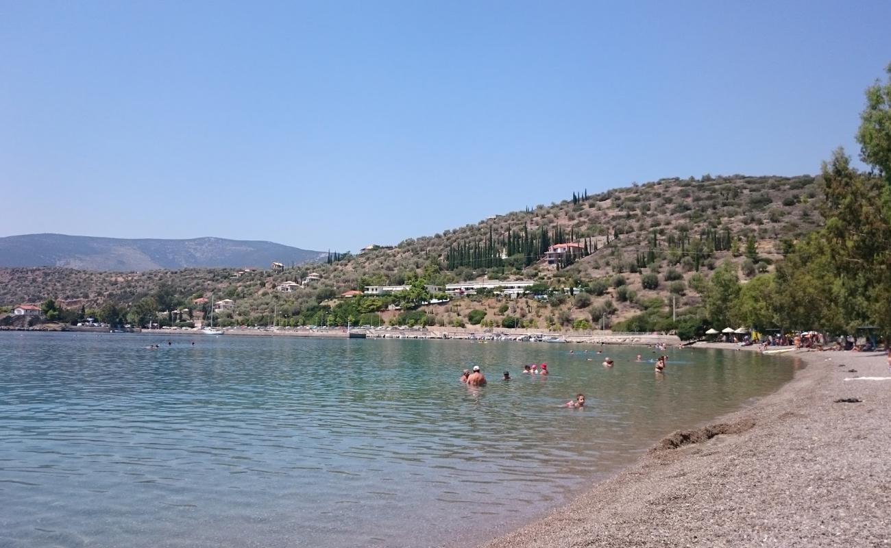 Agios Isidoros Antikyra'in fotoğrafı küçük bej çakıl yüzey ile