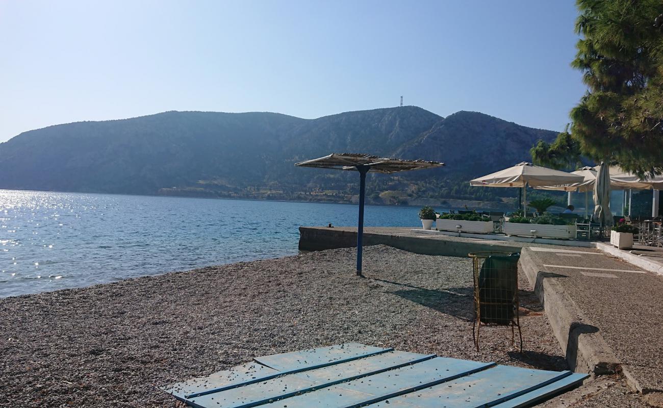 Antikyra beach'in fotoğrafı küçük bej çakıl yüzey ile