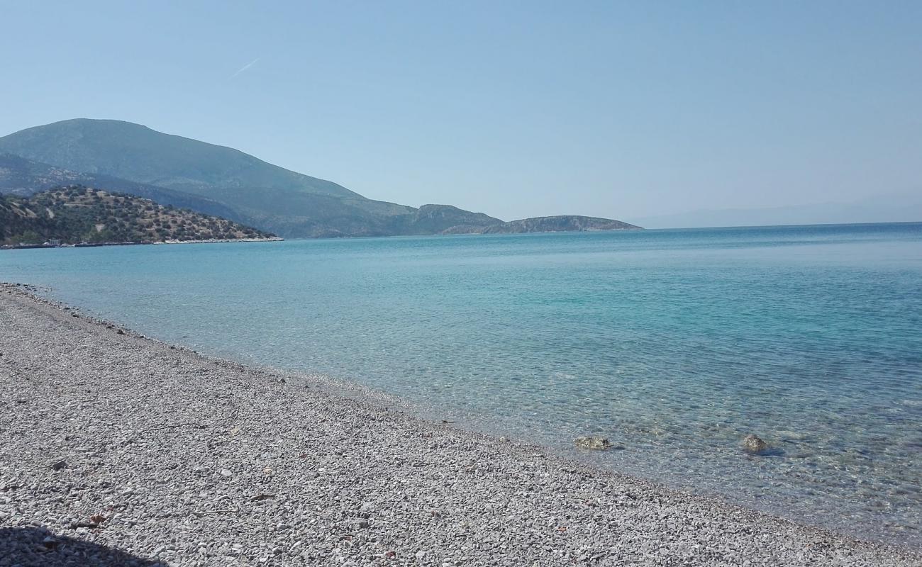 Agios Nikolaos beach'in fotoğrafı küçük bej çakıl yüzey ile