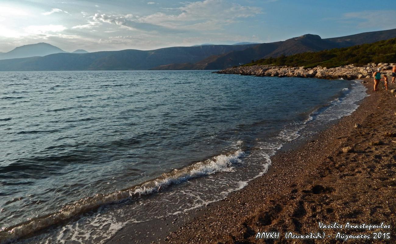 Alyki voeotia beach'in fotoğrafı küçük bej çakıl yüzey ile