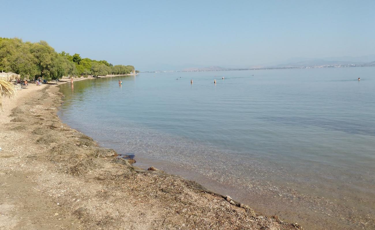 Plaka dilesi beach'in fotoğrafı siyah kum ve çakıl yüzey ile