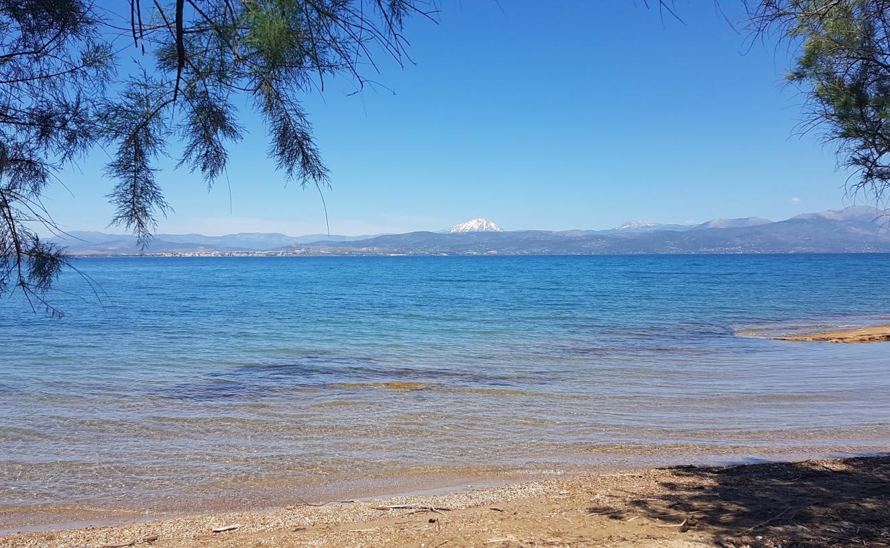 Plaka dilesi beach II'in fotoğrafı siyah kum ve çakıl yüzey ile