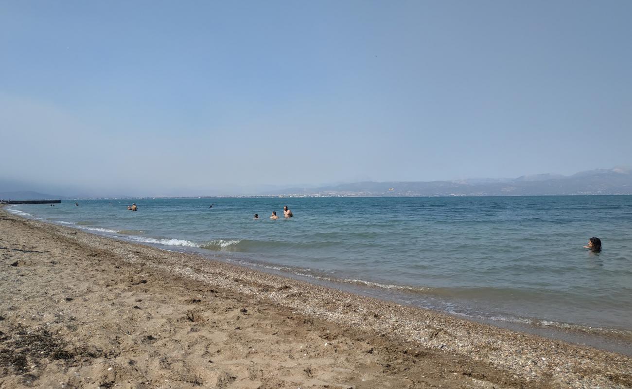 Avlidas beach'in fotoğrafı siyah kum ve çakıllar yüzey ile