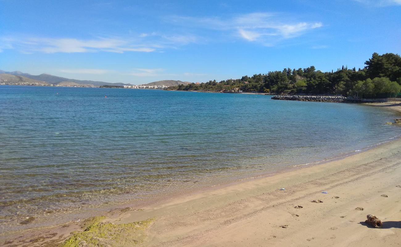 Amoudia beach'in fotoğrafı kahverengi kum yüzey ile