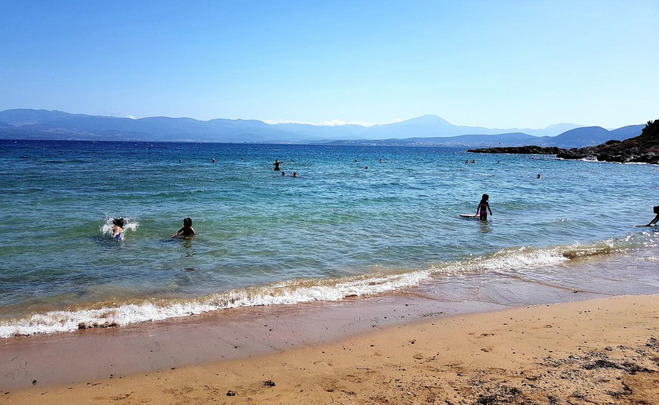 Drossia beach'in fotoğrafı kahverengi kum yüzey ile