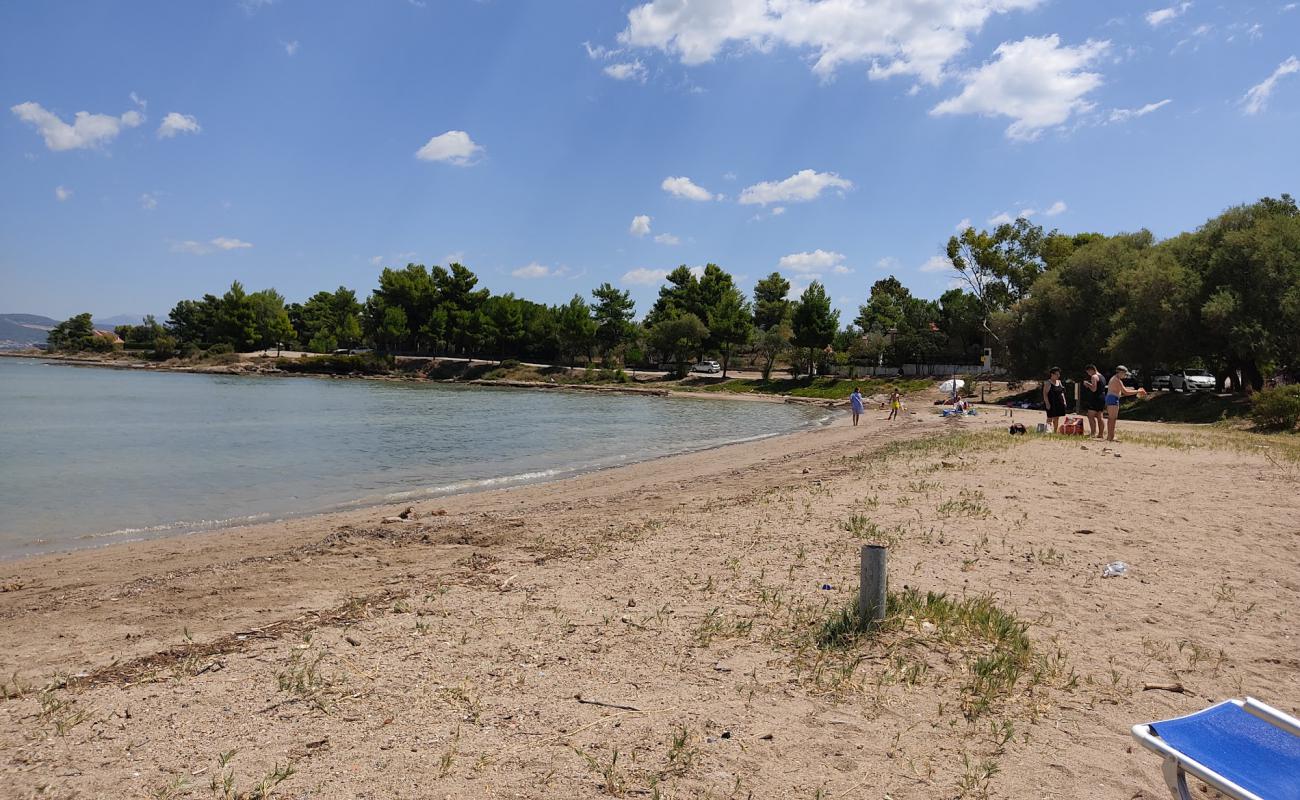 Vournontas beach'in fotoğrafı kısmen temiz temizlik seviyesi ile