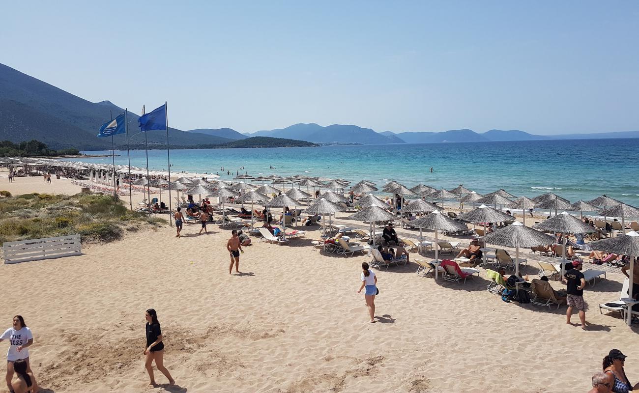 Alykes Plajı'in fotoğrafı açık bej kum yüzey ile
