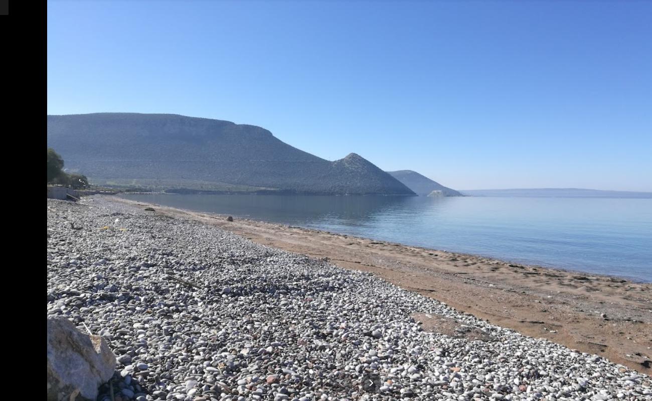 Anthidona bay beach'in fotoğrafı siyah kum ve çakıllar yüzey ile