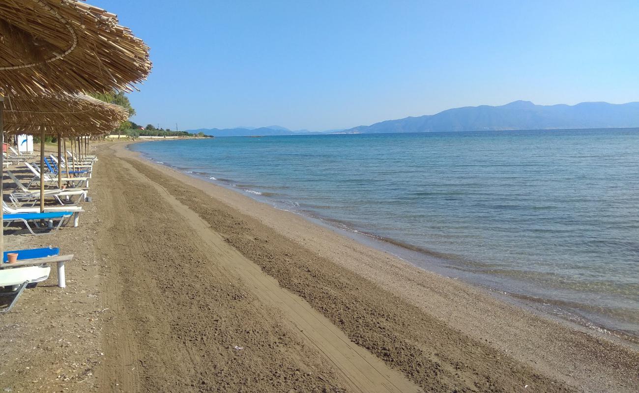 Livanates beach III'in fotoğrafı kahverengi kum yüzey ile