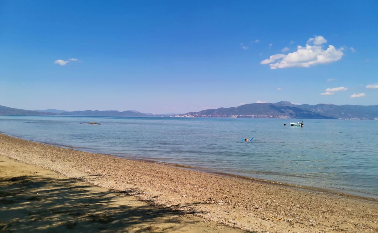 Kalamia Arkitsa beach'in fotoğrafı kahverengi kum yüzey ile