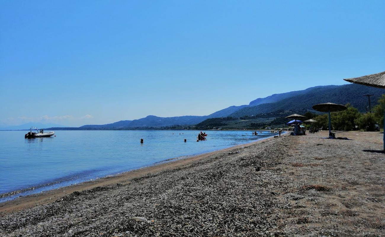 Loggos beach'in fotoğrafı kahverengi çakıl yüzey ile