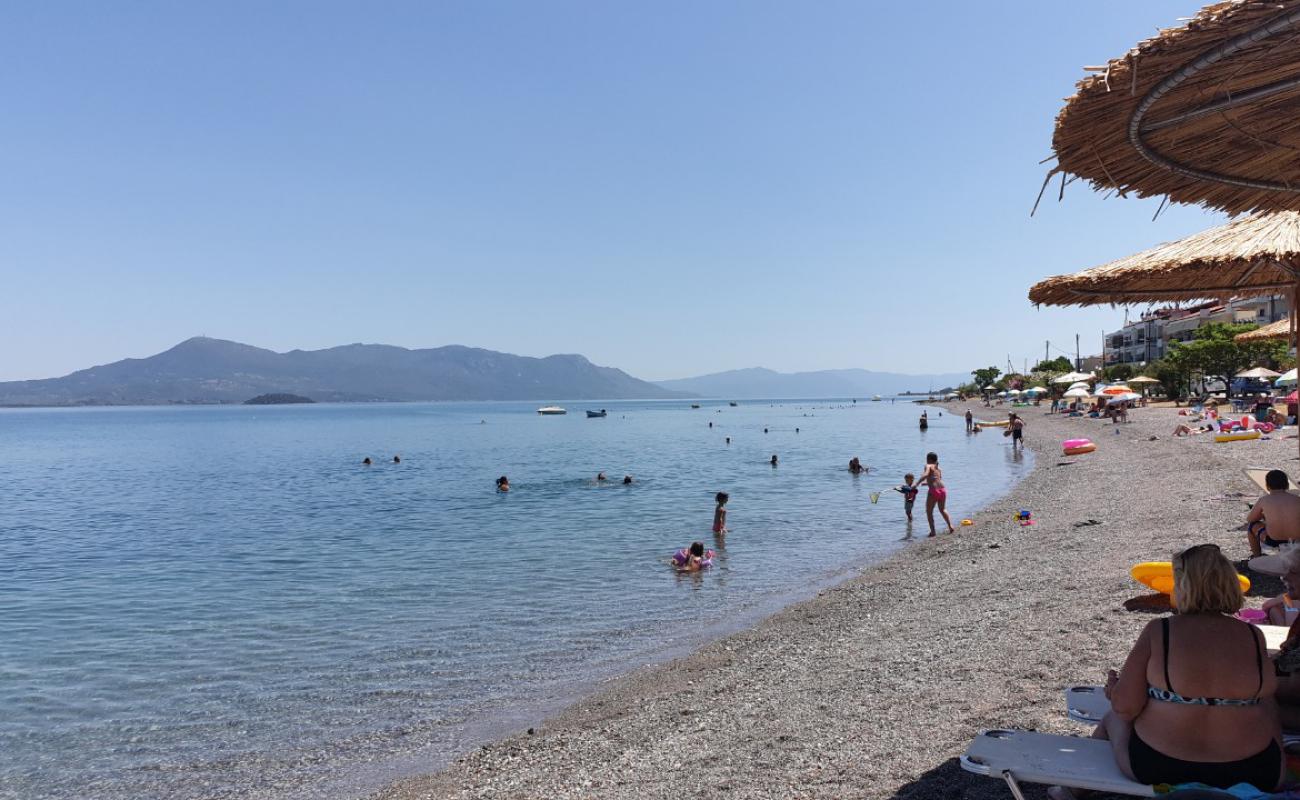 Pomegranate beach'in fotoğrafı gri kum ve çakıllar yüzey ile