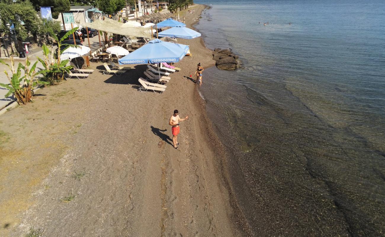 Rachon beach'in fotoğrafı küçük kahverengi çakıllar yüzey ile