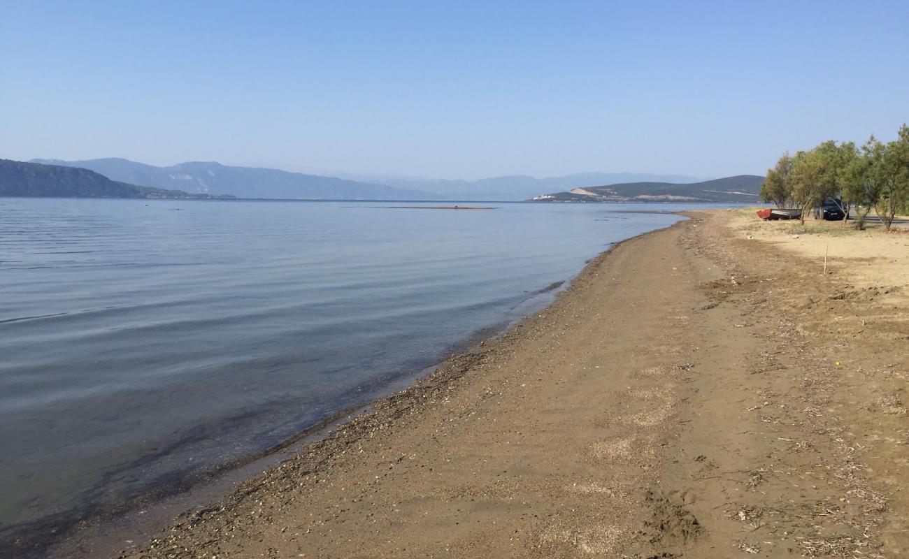 Pelasgia beach'in fotoğrafı kahverengi kum yüzey ile