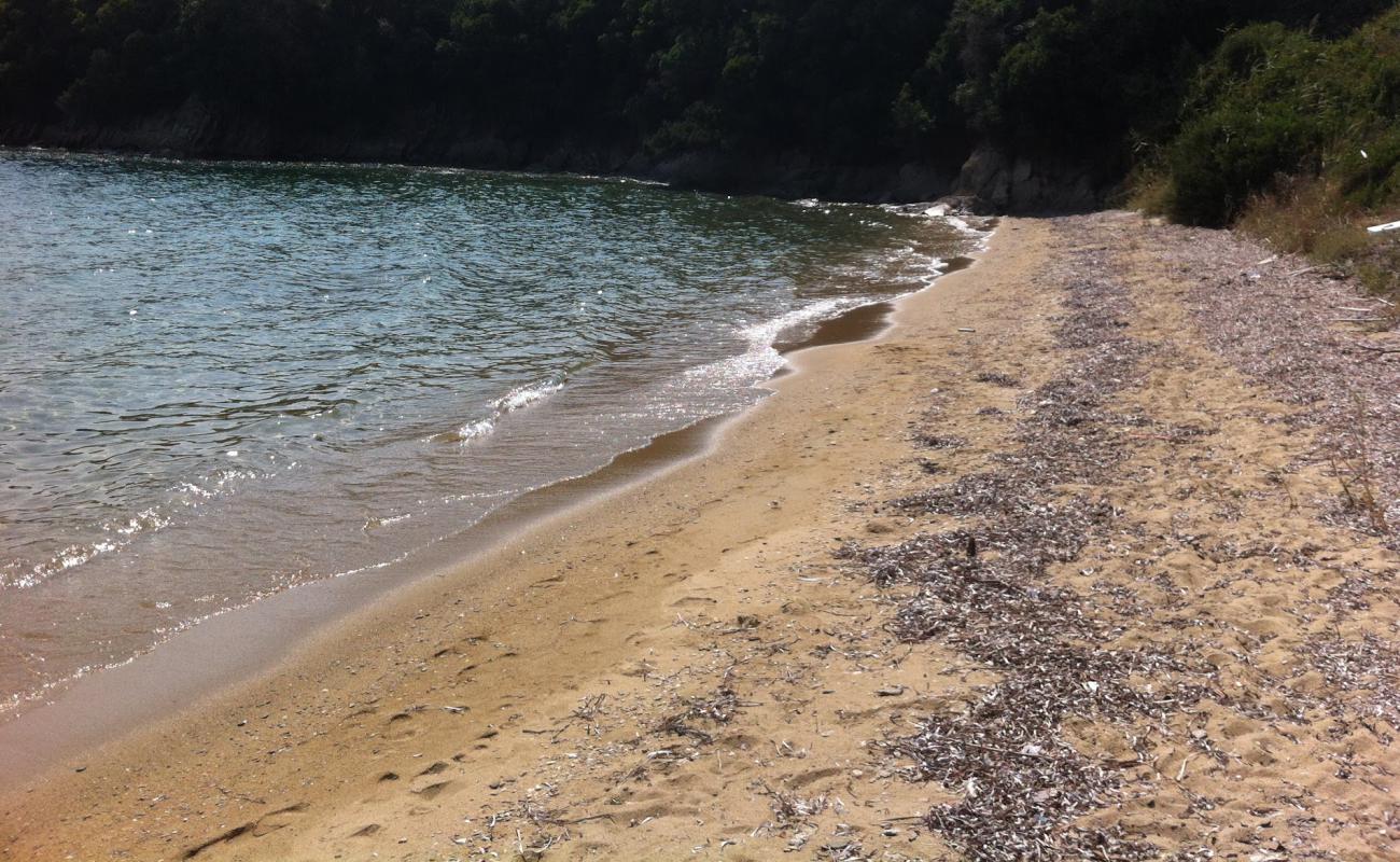 Karavotsaki beach'in fotoğrafı açık bej kum yüzey ile