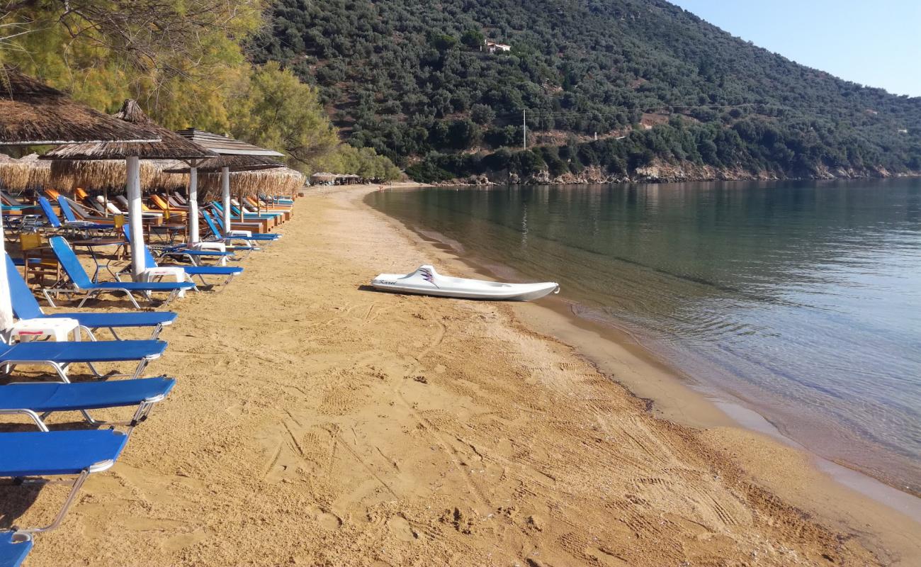 Lefki beach'in fotoğrafı açık bej kum yüzey ile
