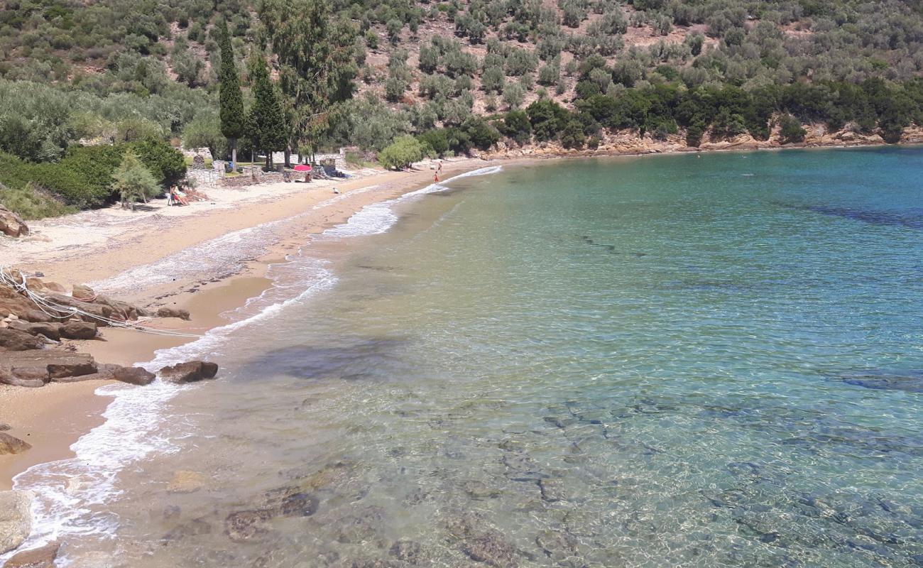 Thick sand beach'in fotoğrafı açık bej kum yüzey ile