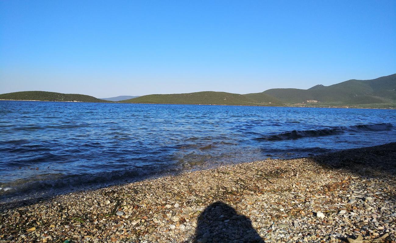 Thalassolite beach'in fotoğrafı bej çakıl yüzey ile