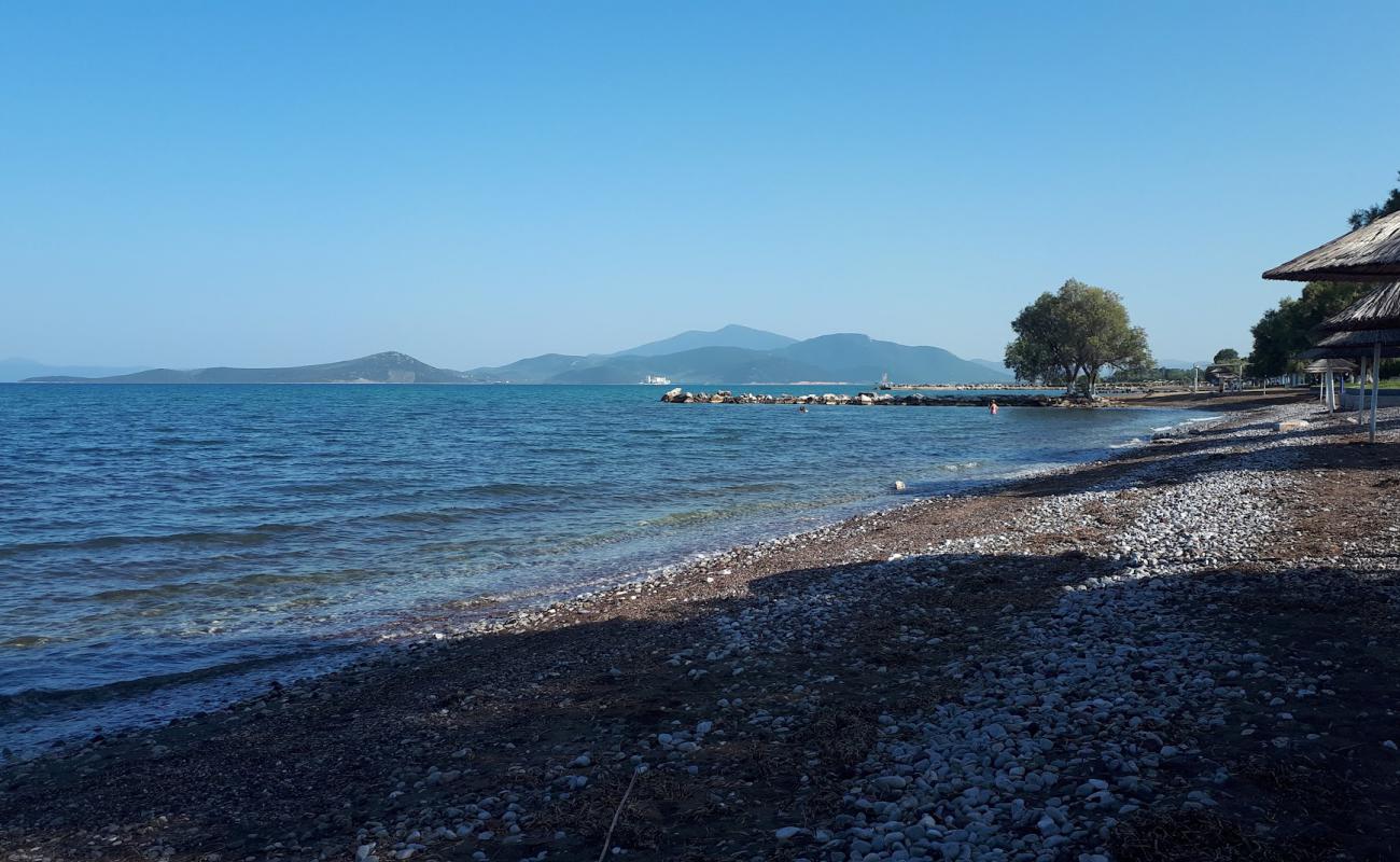 Almirou beach'in fotoğrafı kahverengi çakıl yüzey ile