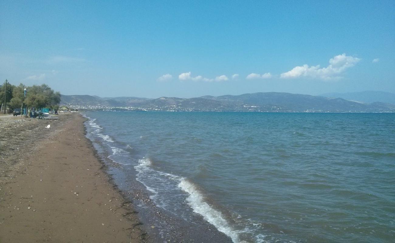 Dimitriada beach'in fotoğrafı siyah kum ve çakıl yüzey ile