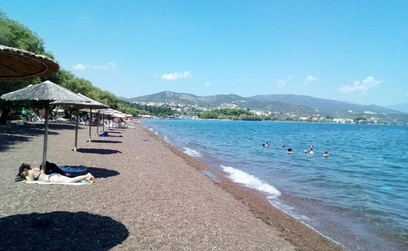 Neas Achialou beach'in fotoğrafı kahverengi kum yüzey ile