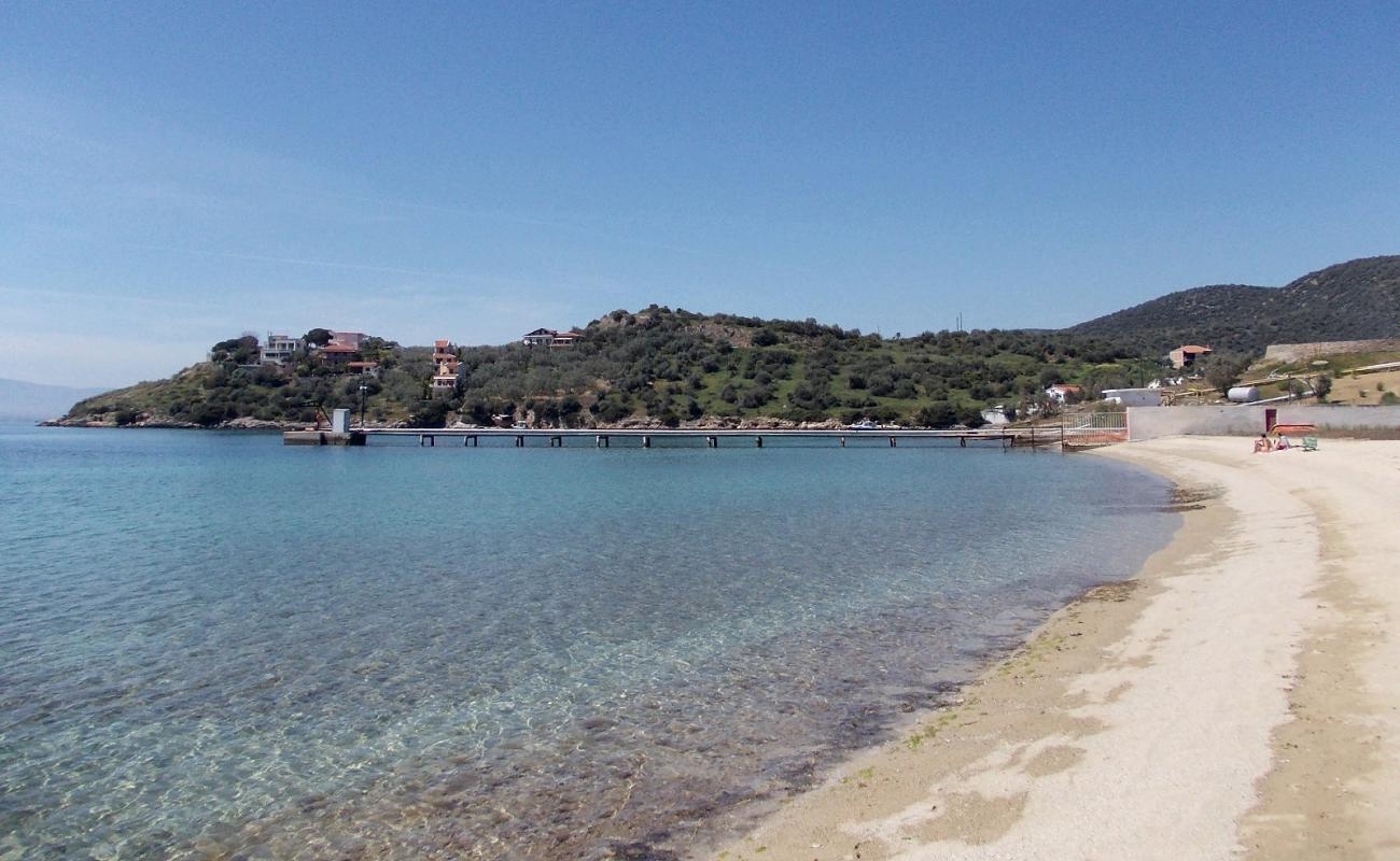 Ag. Georgios beach'in fotoğrafı siyah kum ve çakıl yüzey ile