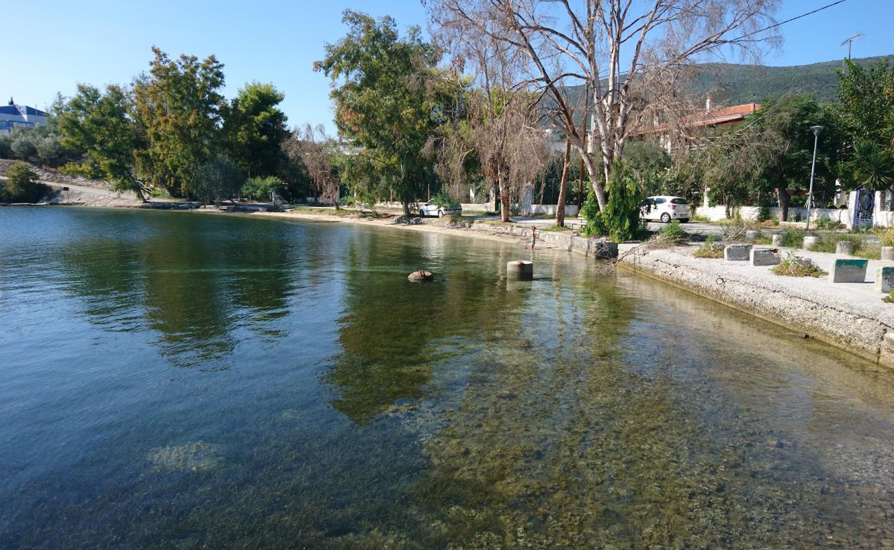 Ag. Georgios tiny beach'in fotoğrafı siyah kum ve çakıl yüzey ile