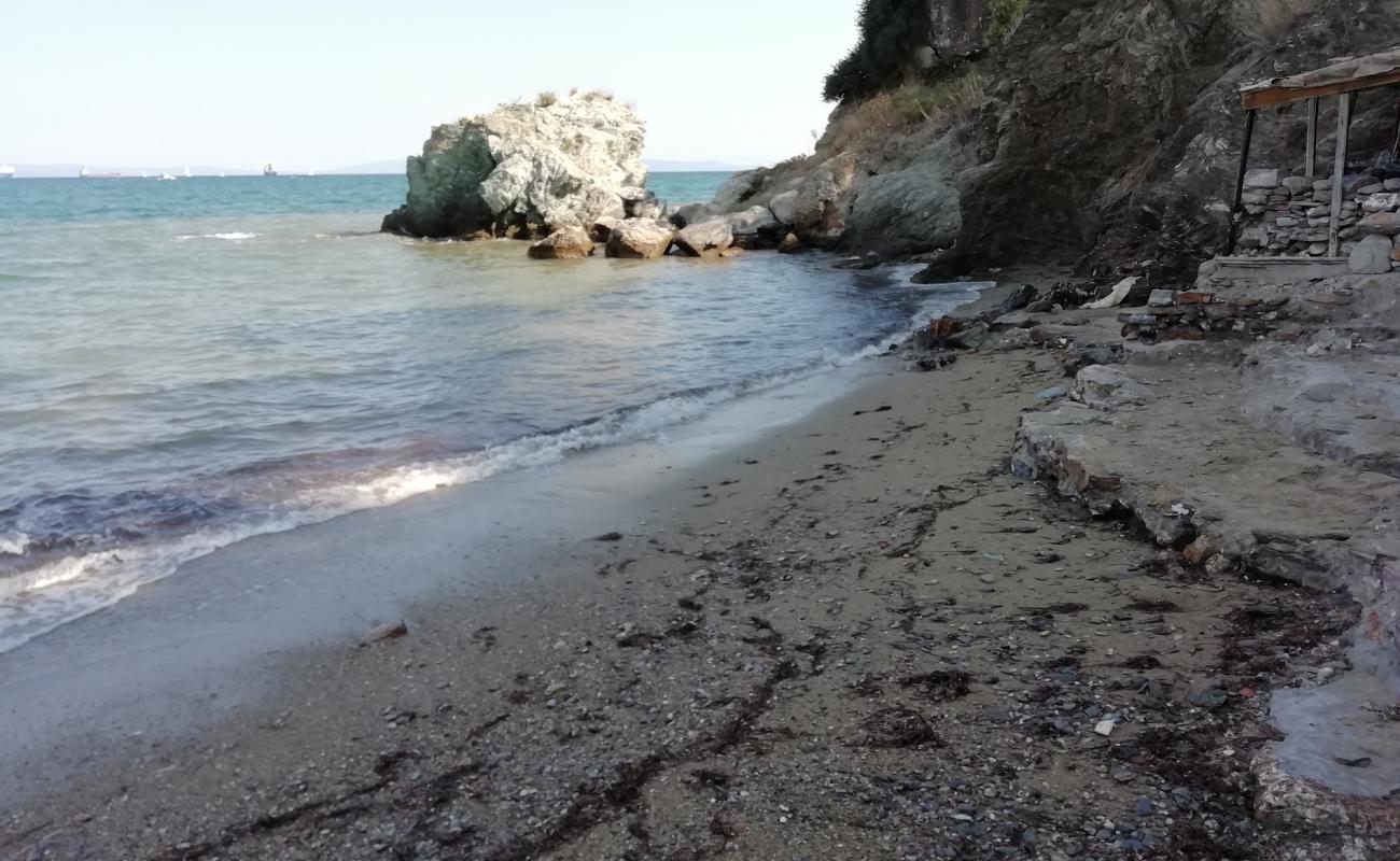 Lighthouse beach'in fotoğrafı taşlı kum yüzey ile